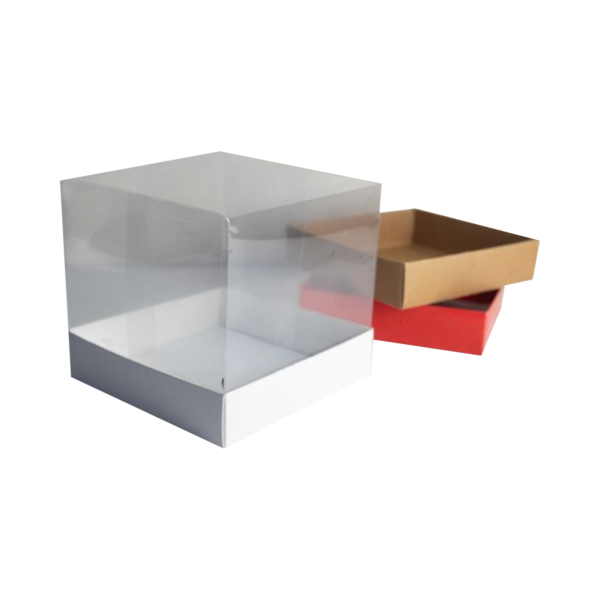 Cupula de Acetato con Base