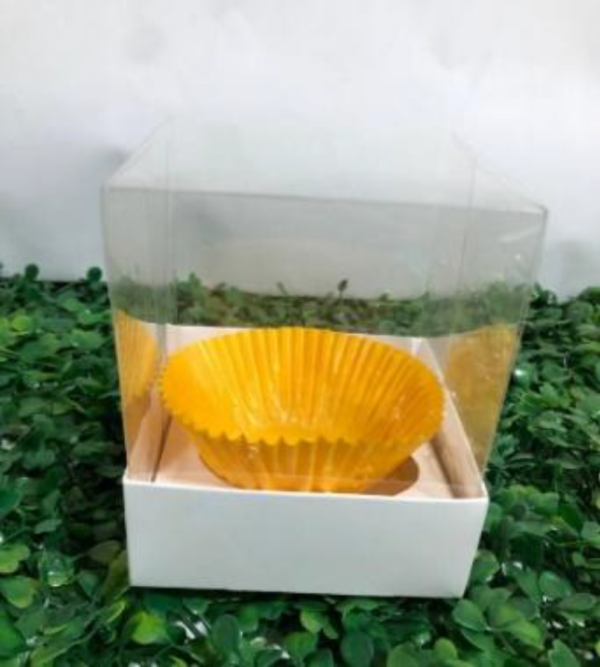 Cupula de Acetato con Base - Imagen 3
