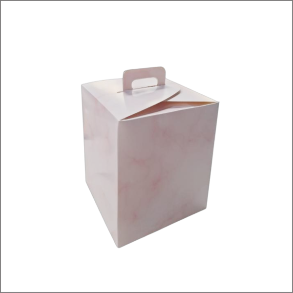 CAJA MINI TORTA 17 SIN VISOR - Imagen 3