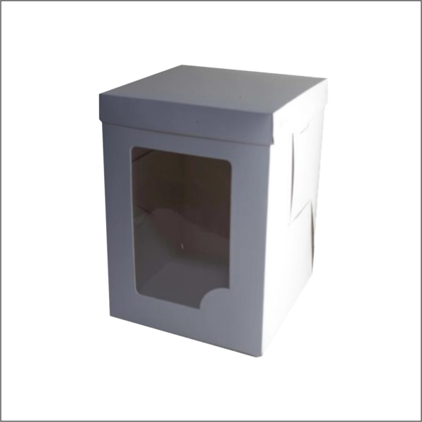 CAJA ALTA VISOR PLASTICO