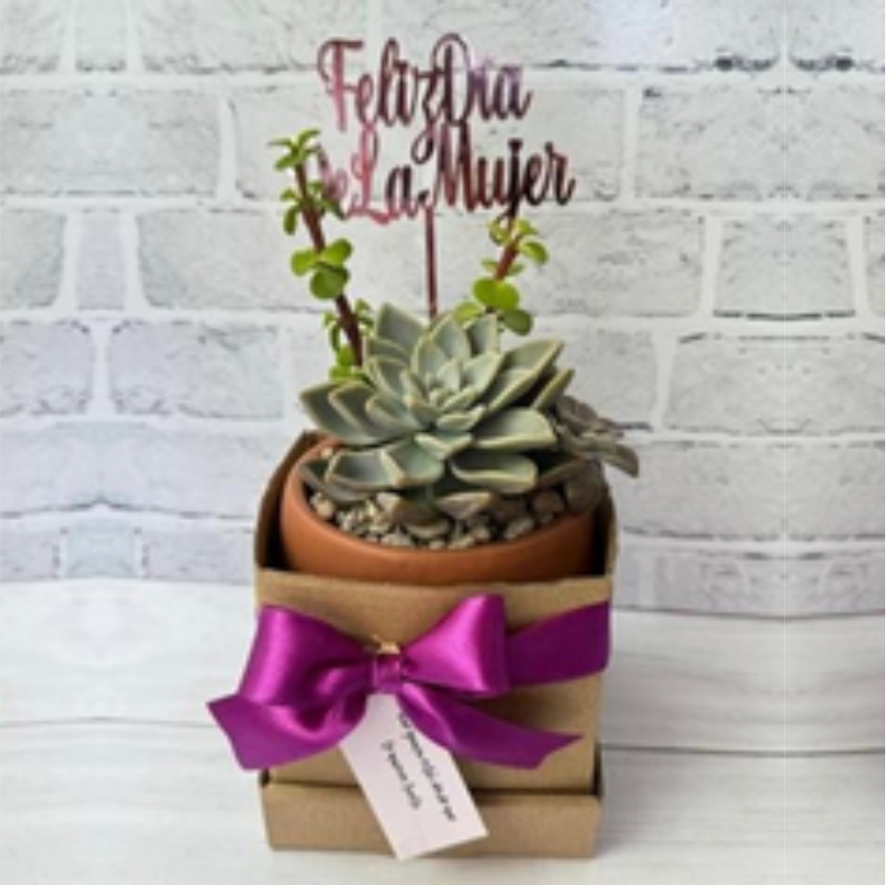 CAJA CUBO - Imagen 3