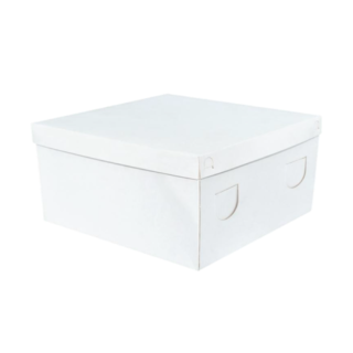 CAJA ESTÁNDAR IVORY SIN VISOR