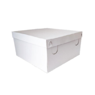 CAJA ESTANDAR SIN VISOR