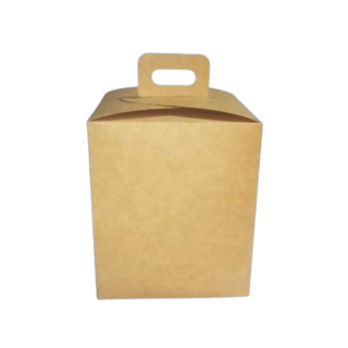 CAJA MINI TORTA 17 SIN VISOR