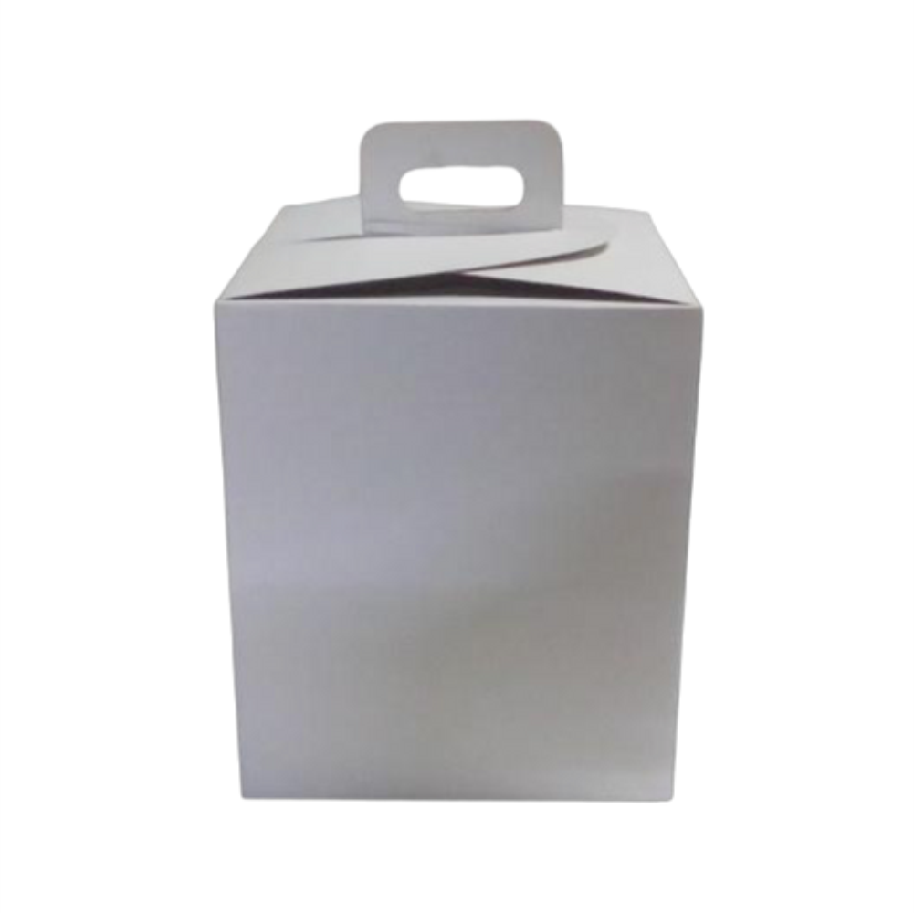 CAJA MINI TORTA 17 SIN VISOR - Imagen 3